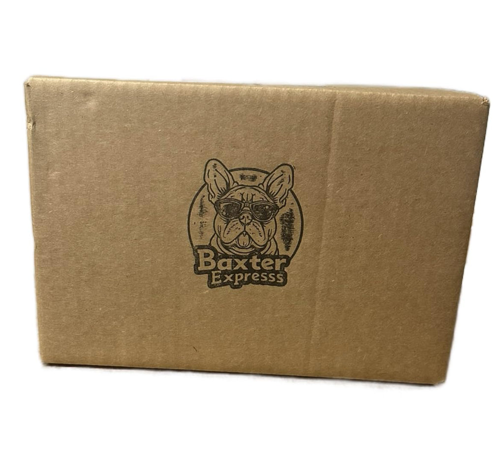 Chocolate Protein Shakes 12 Pack Lactose-Free G137025