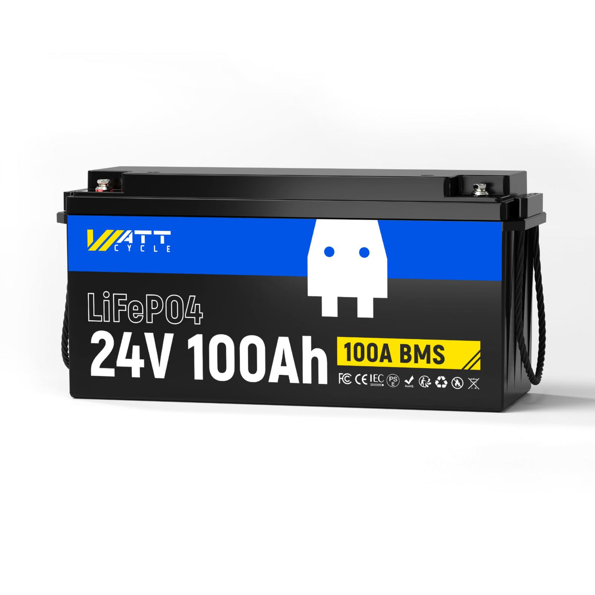24V 100Ah LiFePO4 Battery Q53876