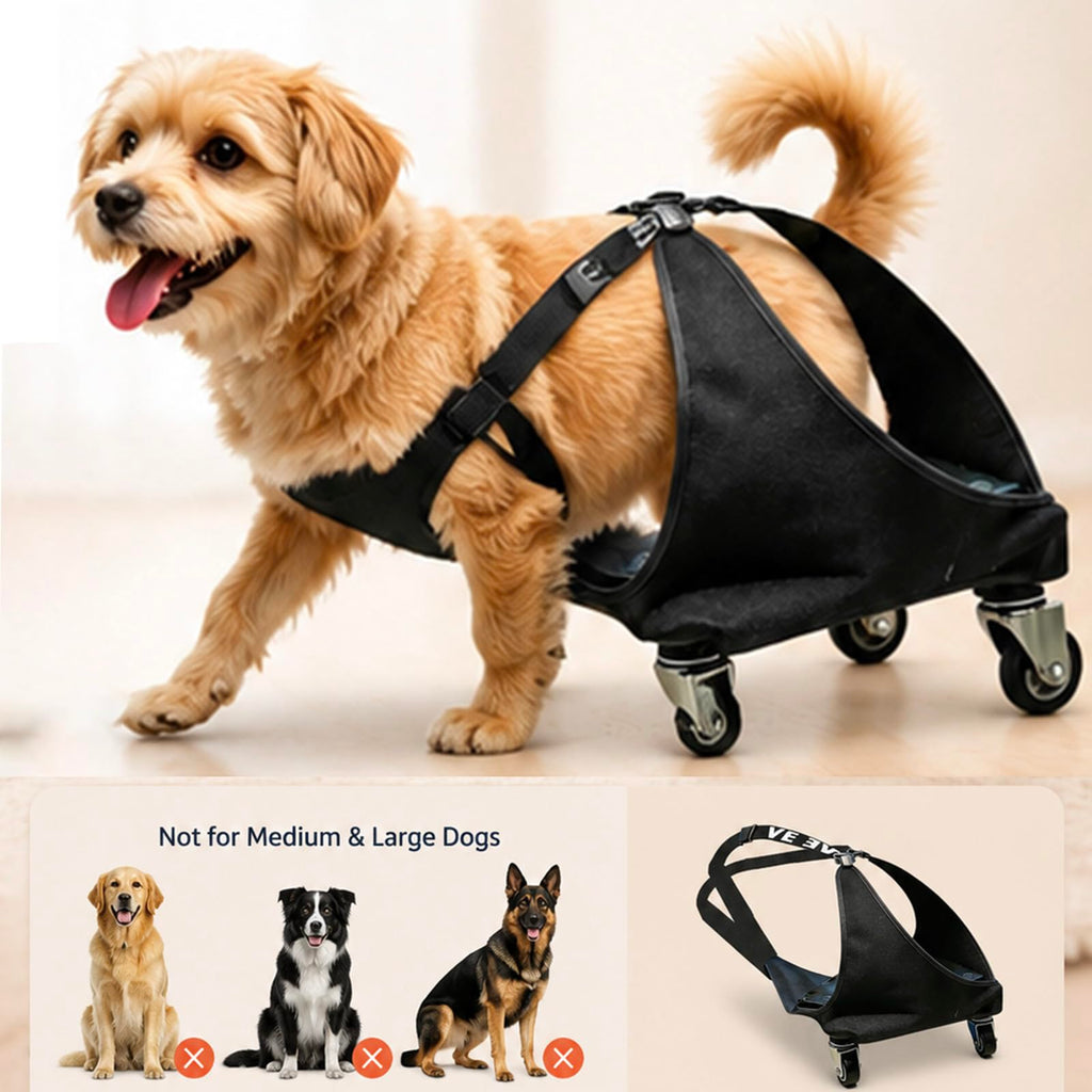 Small Dog or Cat Wheelchair for Back Legs Q259