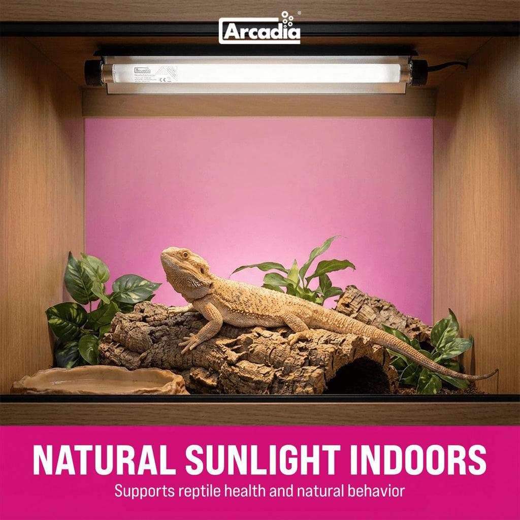 12" 8 Watts 7% UVB Reptile Light Fixture Kit G3951