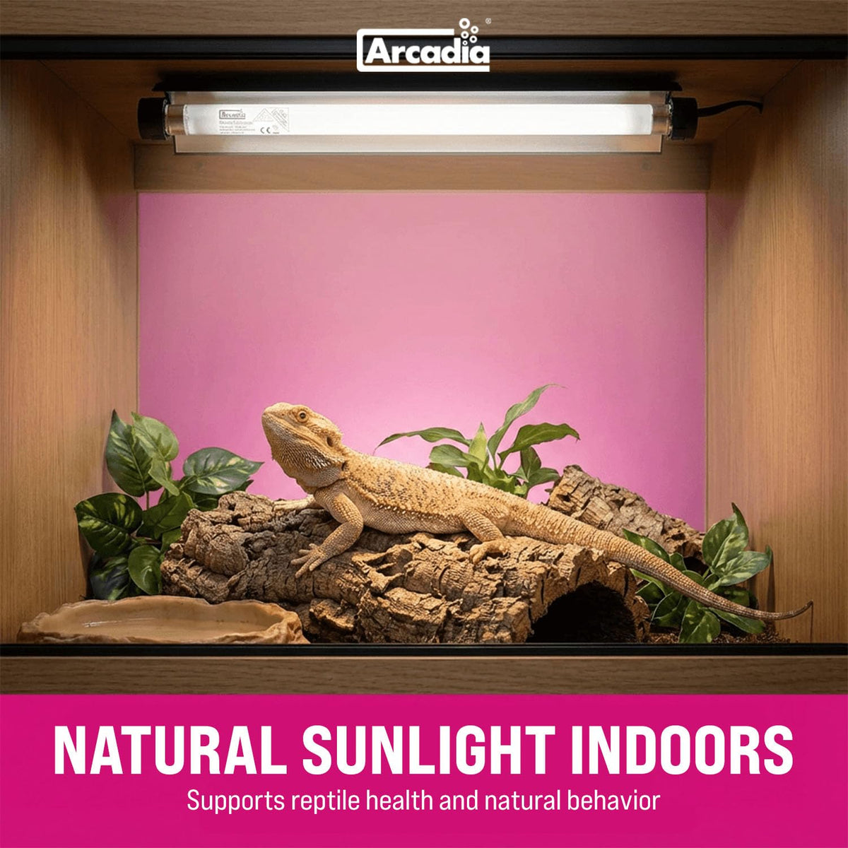 12" 8 Watts 7% UVB Reptile Light Fixture Kit G3951