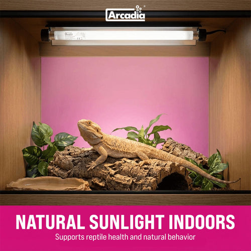 12" 8 Watts 7% UVB Reptile Light Fixture Kit G3951