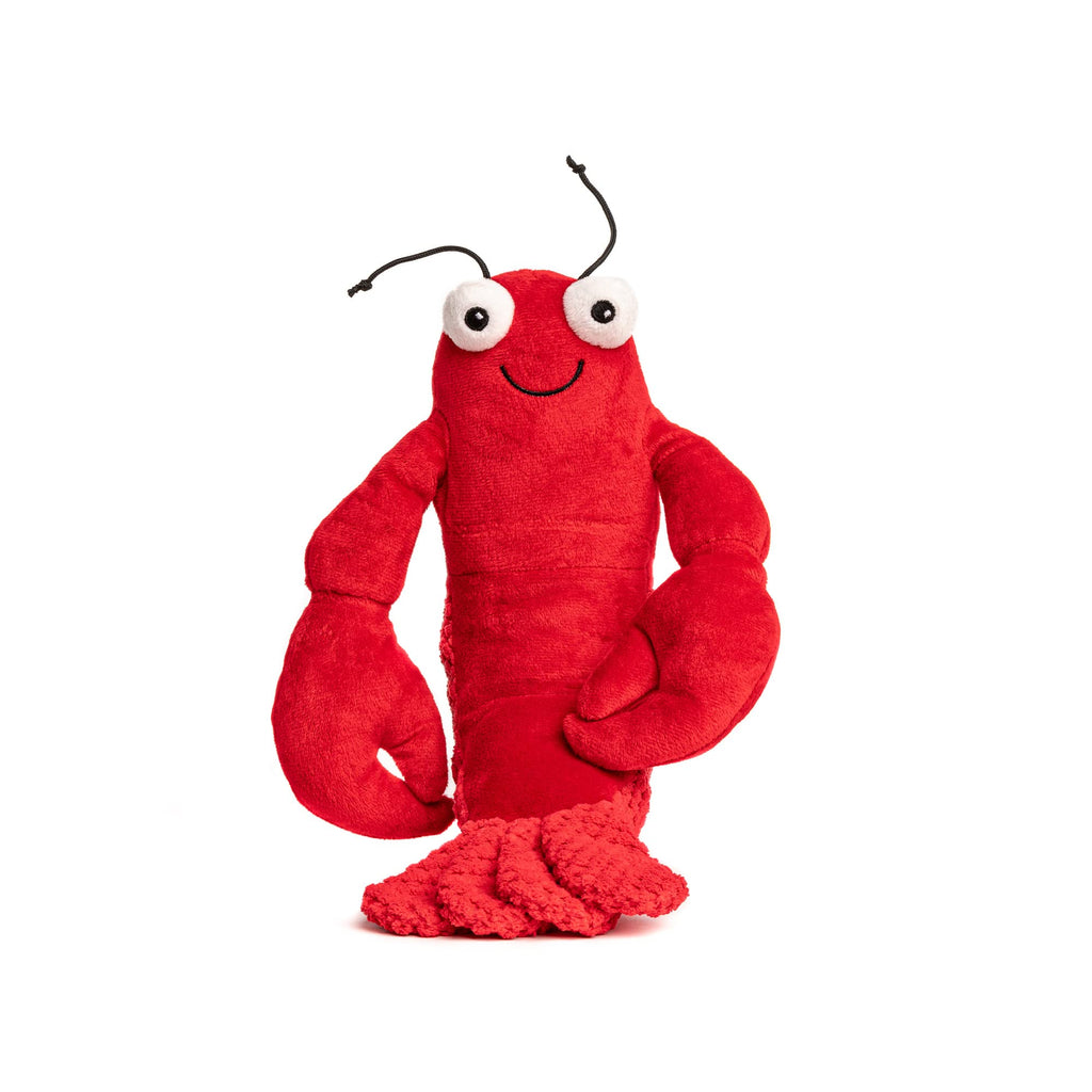 Plush Squeaky Dog Toy Y736
