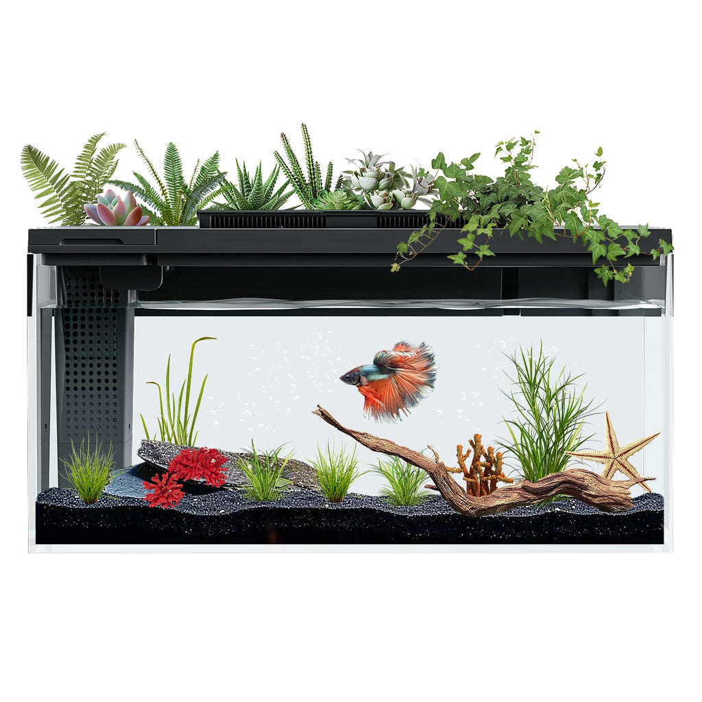 3.7 Gallon Betta Fish Tank Kit with Filter Light Water Pump D9476