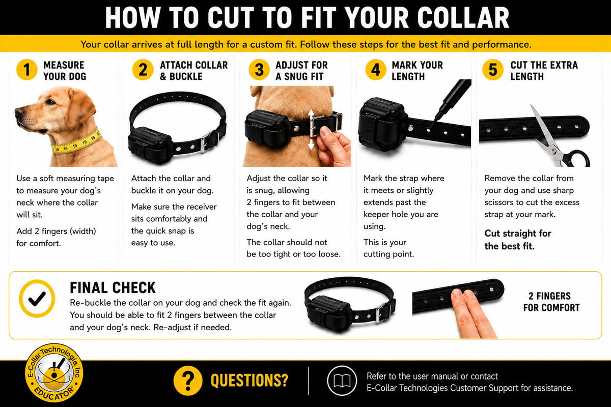 Black Quick Snap Collar Strap J910