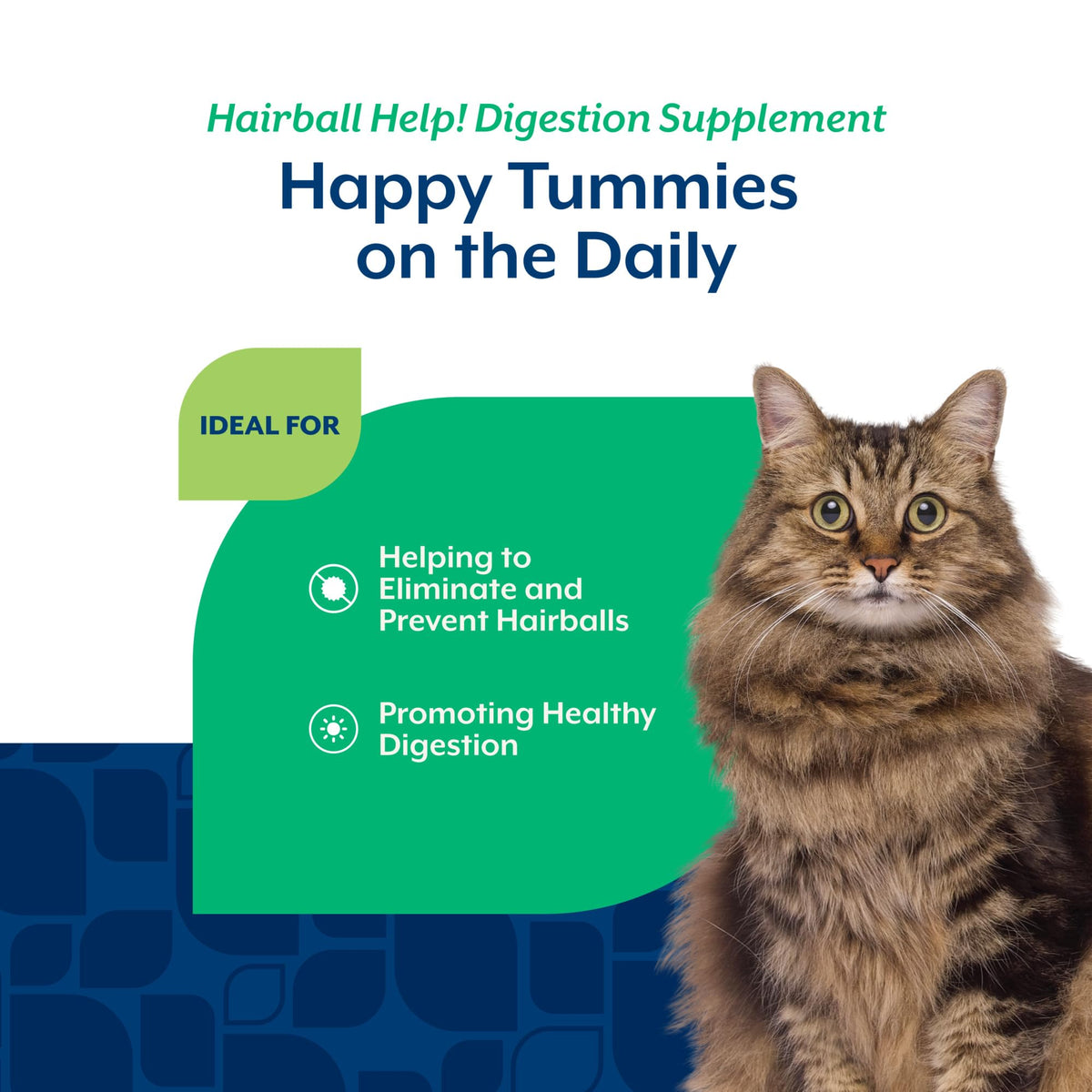 Hairball Aid Supplement for Cats Plus Pumpkin 60 Soft Chews N145