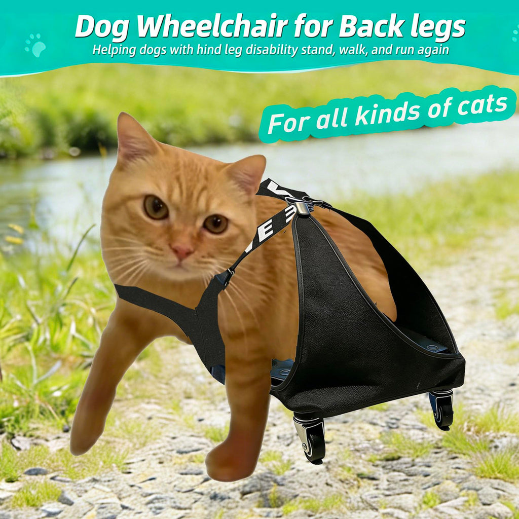 Small Dog or Cat Wheelchair for Back Legs Q259