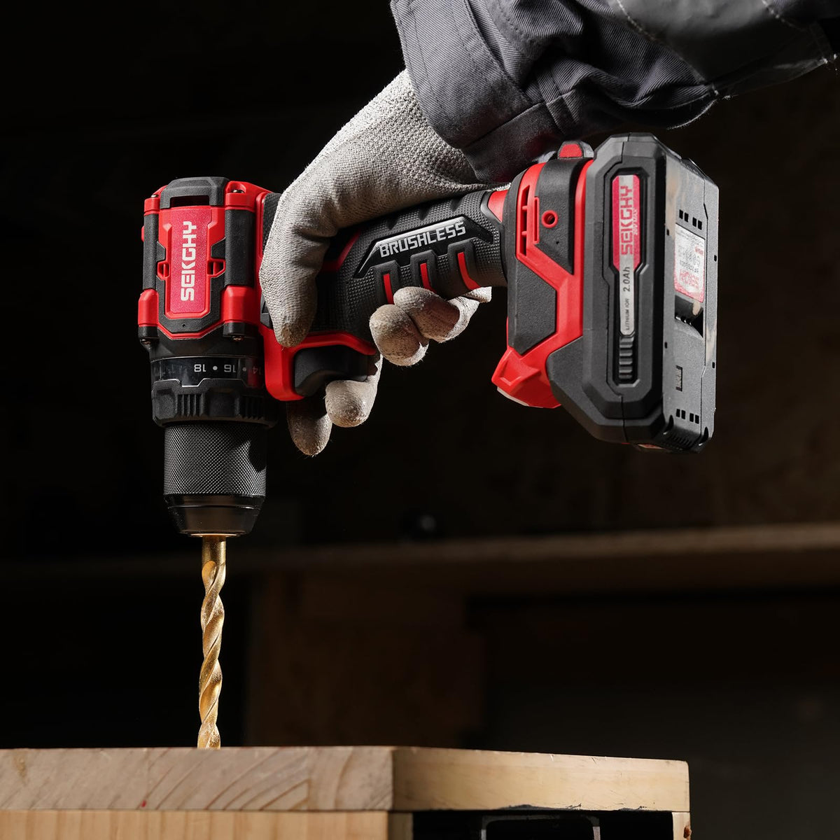 20V Cordless Drill Driver Kit with 2 Batteries N975037