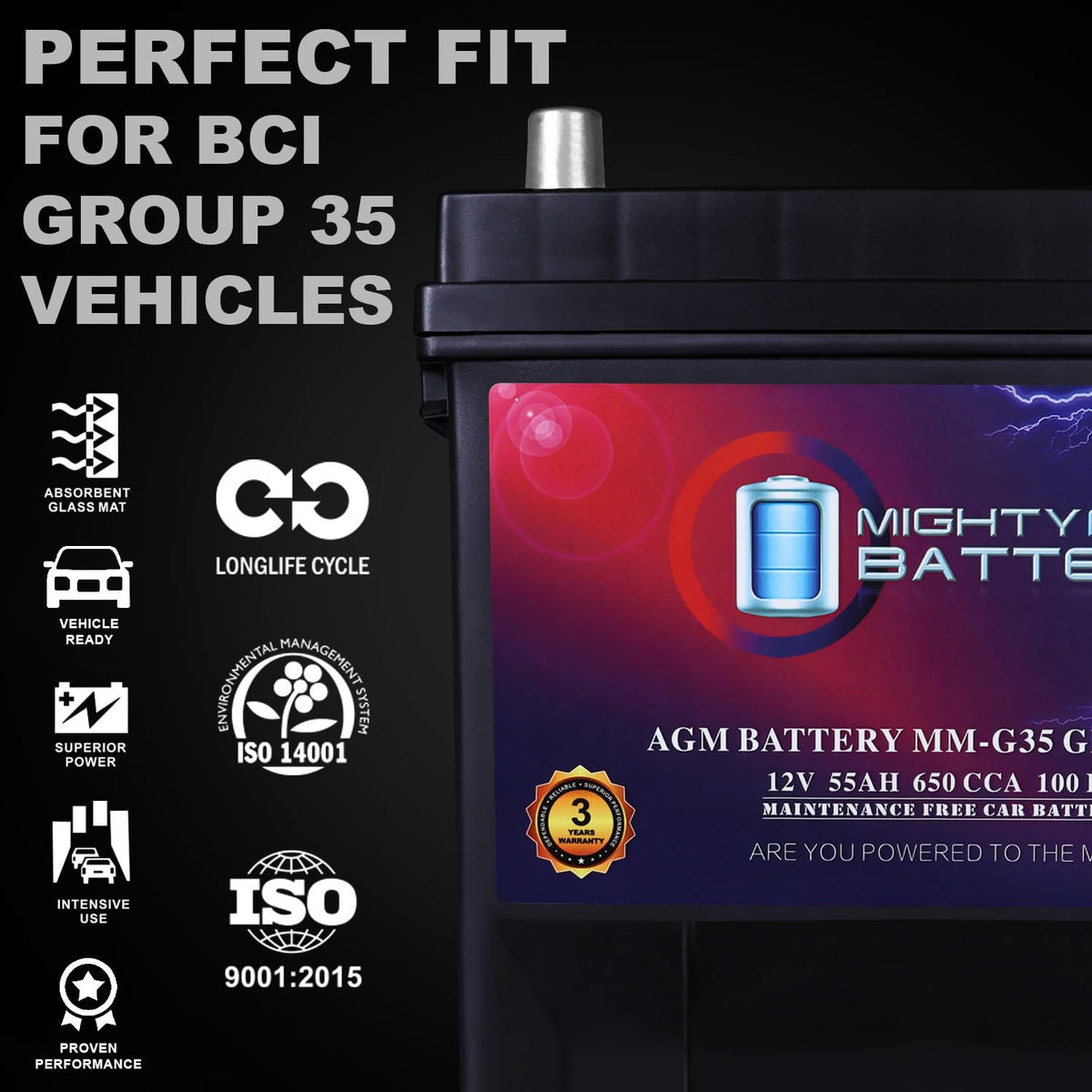 12V 55Ah AGM Replacement Battery C363