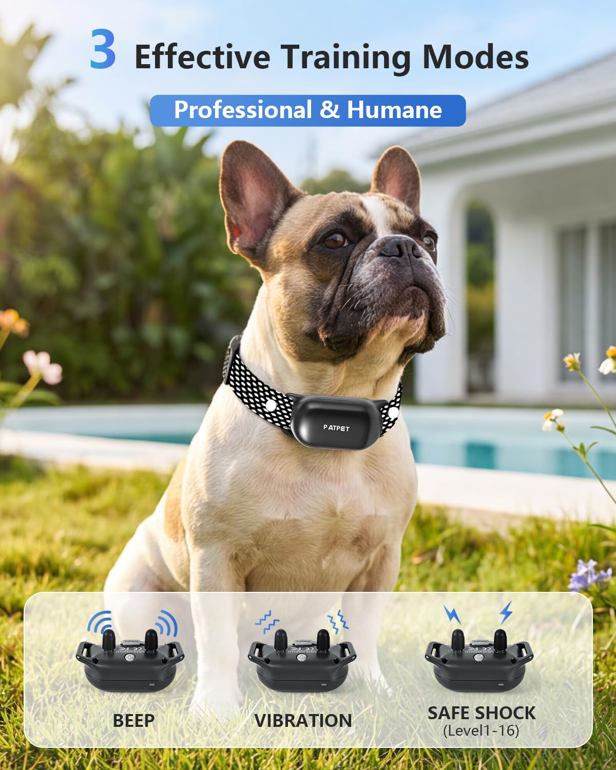Dog Shock Collar with Remote Control H7621