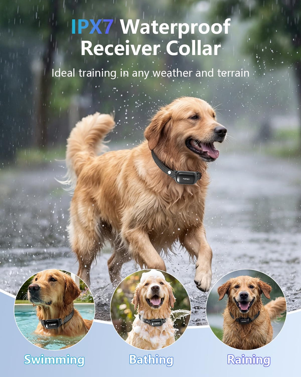 Dog Shock Collar with Remote Control H7621
