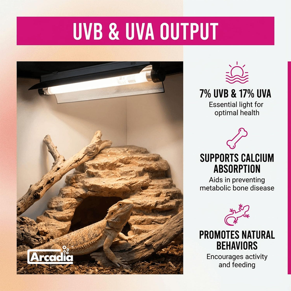 12" 8 Watts 7% UVB Reptile Light Fixture Kit G3951
