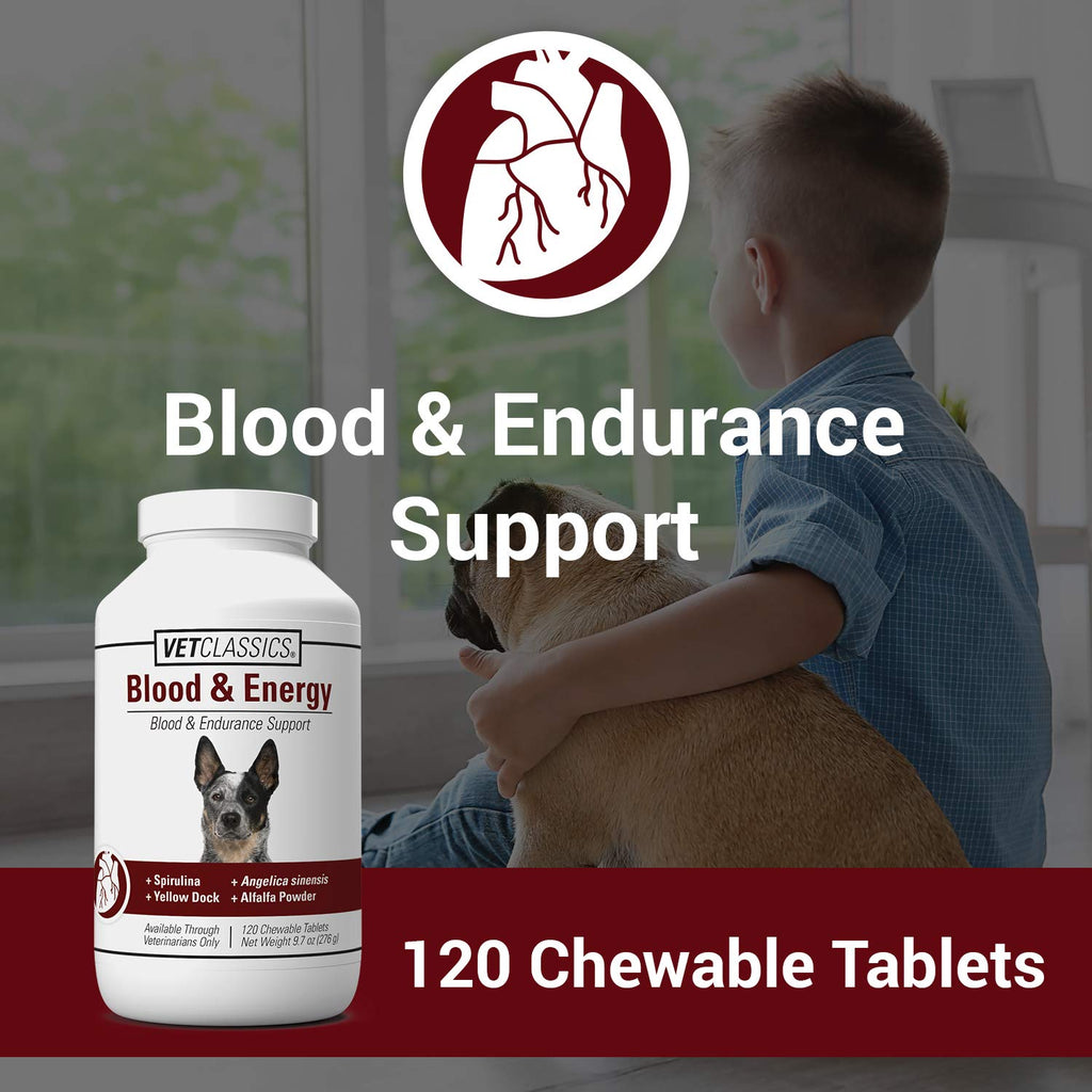 Blood & Energy Support Supplement for Dogs 120 Tablets G209