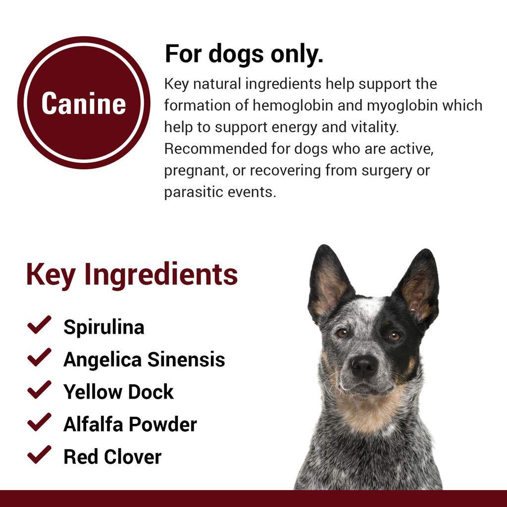 Blood & Energy Support Supplement for Dogs 120 Tablets G209