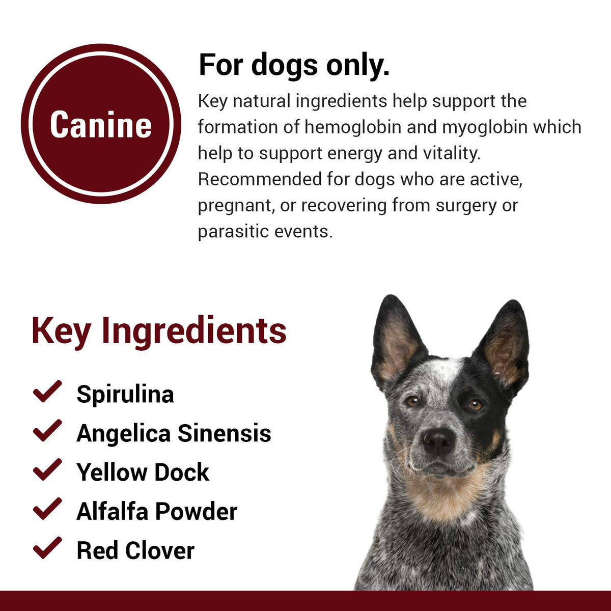 Blood & Energy Support Supplement for Dogs 120 Tablets G209