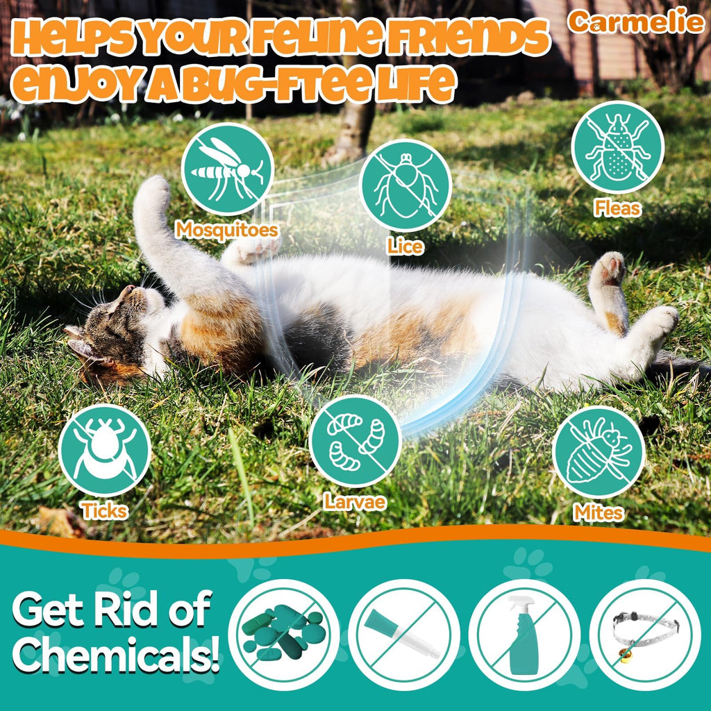 Flea and Tick Prevention for Cat with Vitamins Fish Oil 2 fl oz V29506