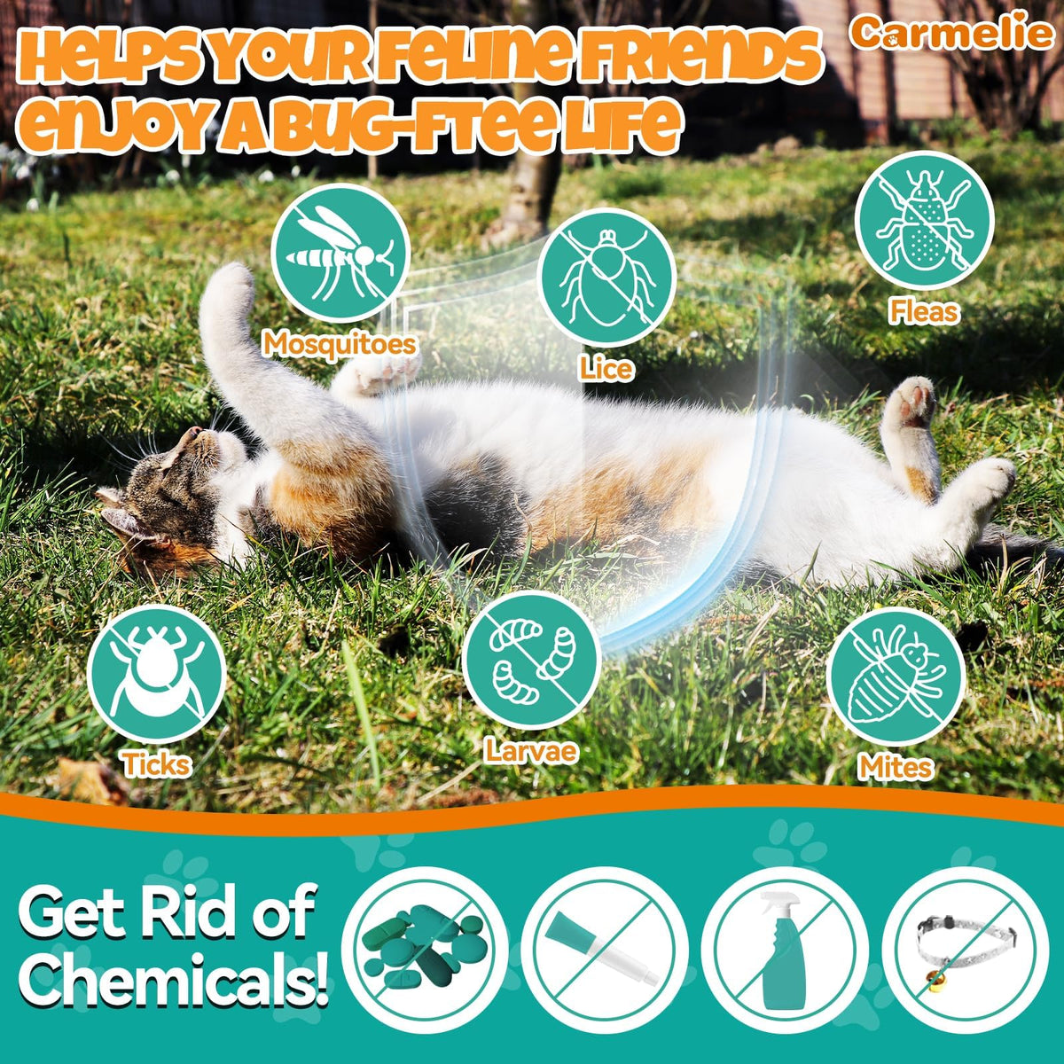 Flea and Tick Prevention for Cat with Vitamins Fish Oil 2 fl oz V29506