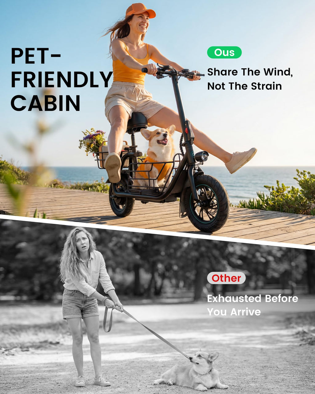 Electric Scooter with Seat R777331