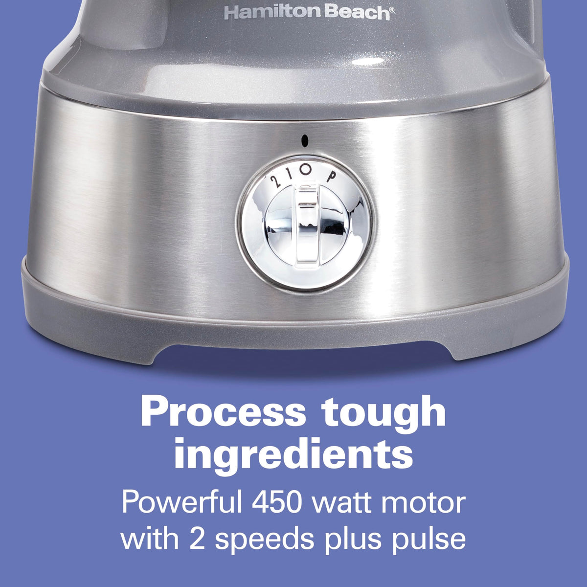 10 Cup Food Processor & Vegetable Chopper B602