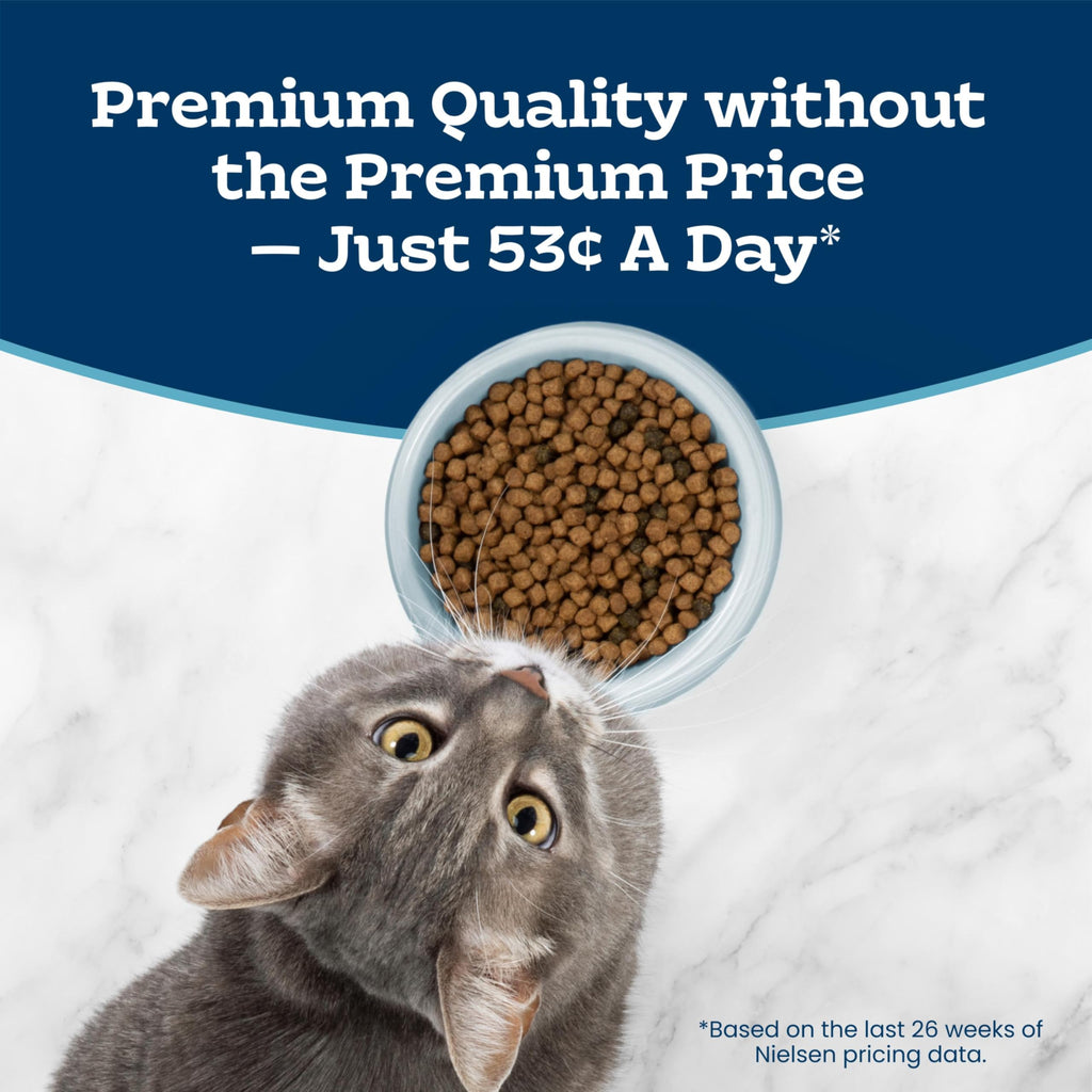 Chicken Sensitive Stomach Dry Cat Food, 3 lb A39346
