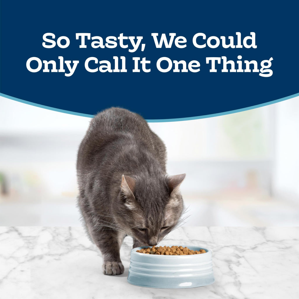 Chicken Sensitive Stomach Dry Cat Food, 3 lb A39346