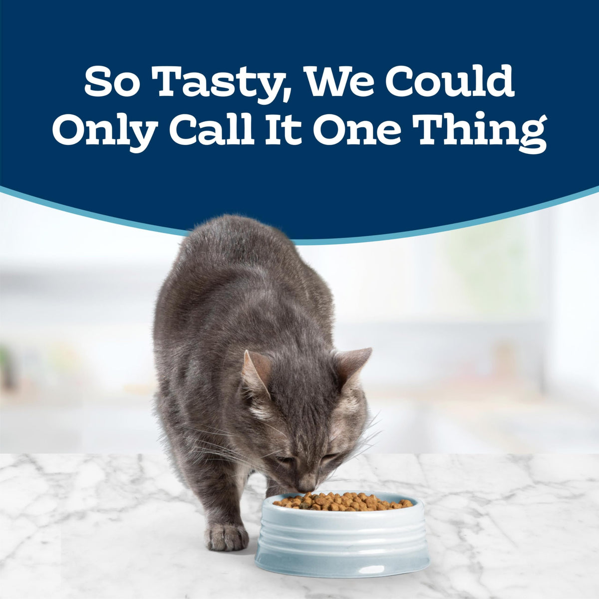 Chicken Sensitive Stomach Dry Cat Food, 3 lb A39346