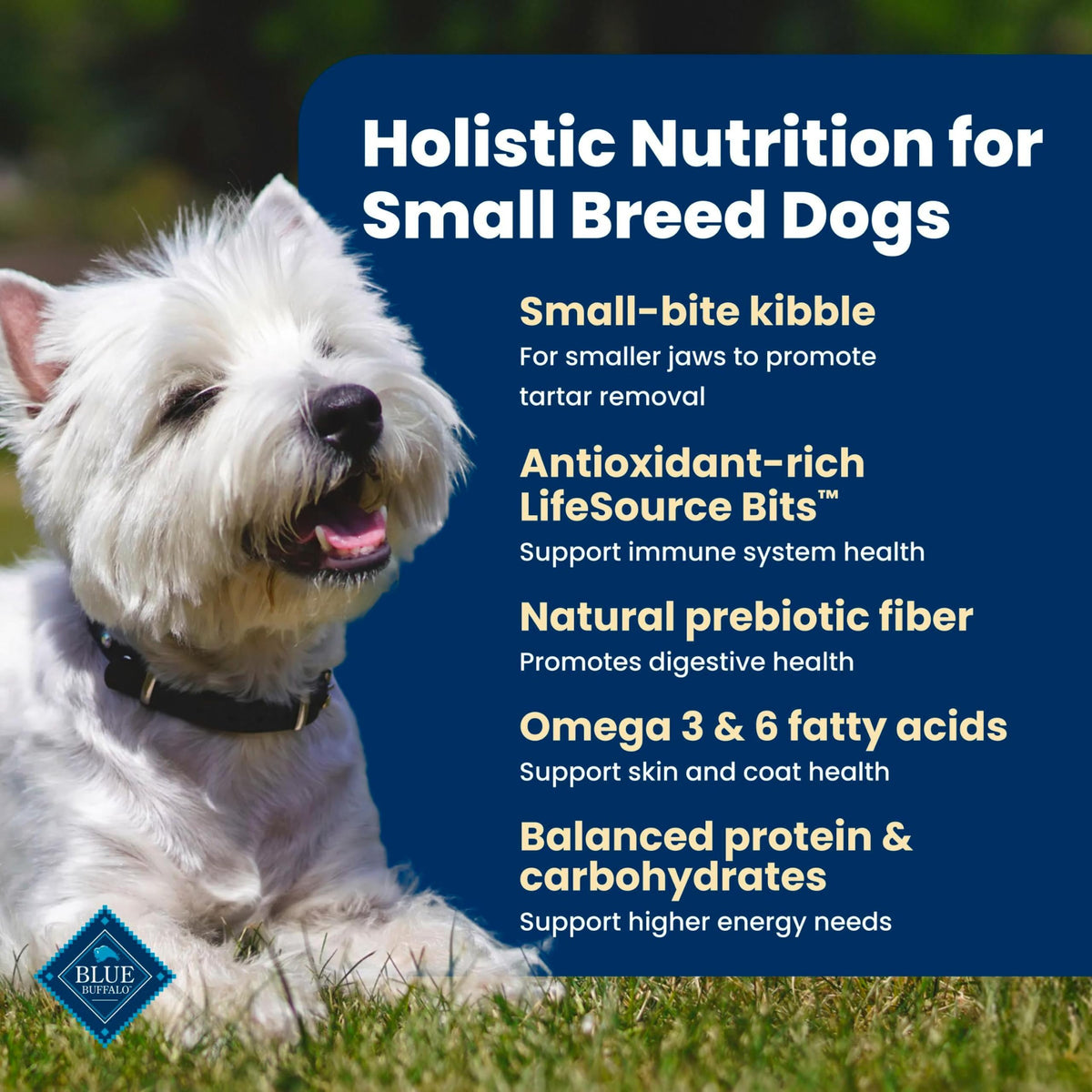 Chicken Small Breed Dry Dog Food, 5 lb K6343