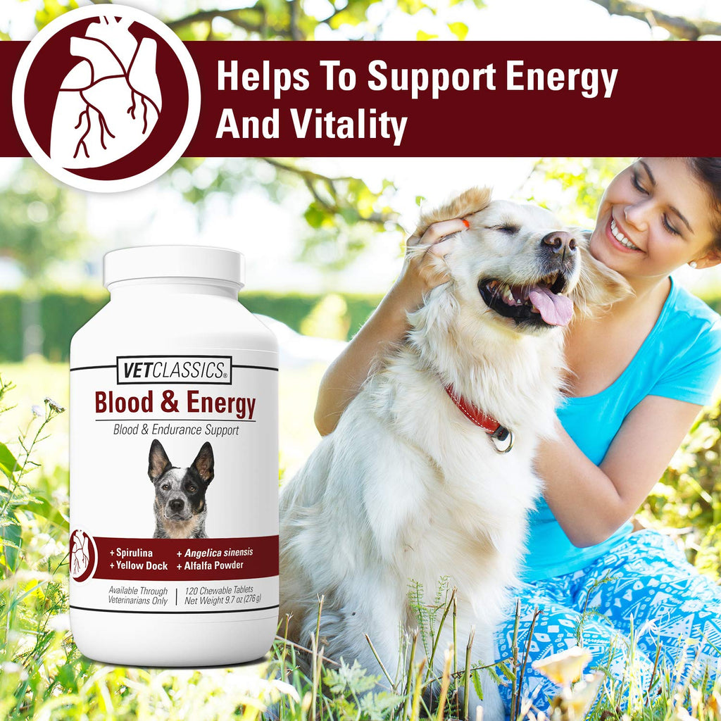Blood & Energy Support Supplement for Dogs 120 Tablets G209