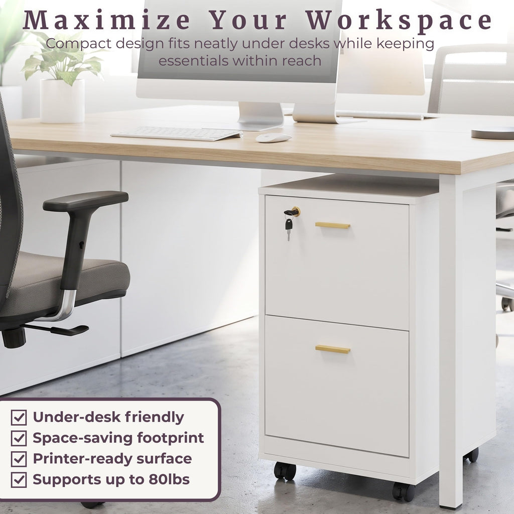 White 2 Drawer Wooden File Cabinet with Lock N188692