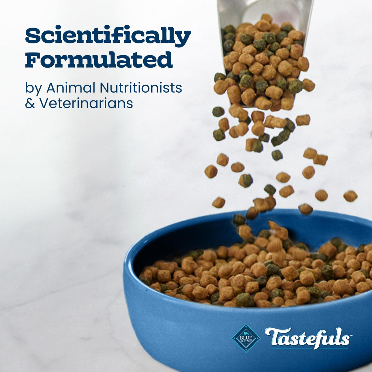 Chicken Sensitive Stomach Dry Cat Food, 3 lb A39346
