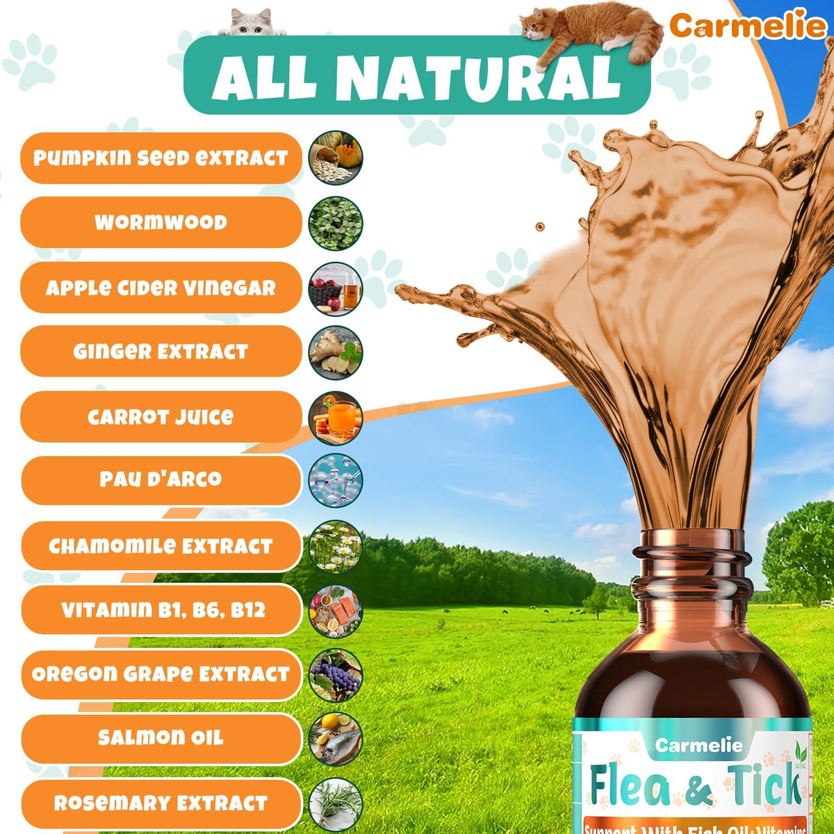 Flea and Tick Prevention for Cat with Vitamins Fish Oil 2 fl oz V29506