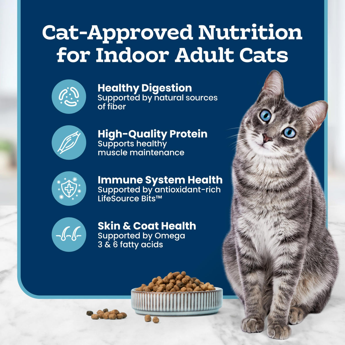 Chicken Sensitive Stomach Dry Cat Food, 3 lb A39346